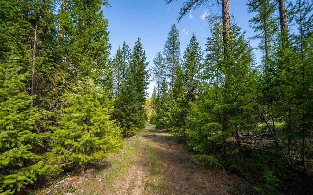 3605 Hubbart Dam Road Marion MT 59925