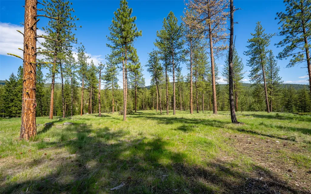 3605 Hubbart Dam Road Marion MT 59925