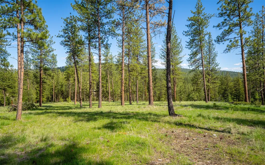 3605 Hubbart Dam Road Marion MT 59925