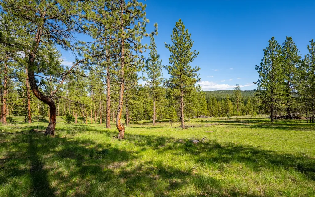 3605 Hubbart Dam Road Marion MT 59925
