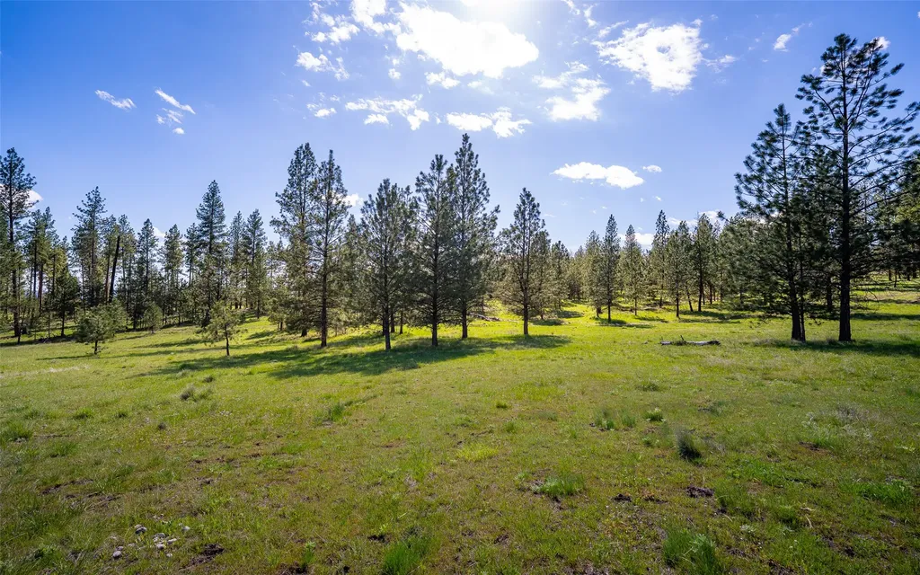 3605 Hubbart Dam Road Marion MT 59925