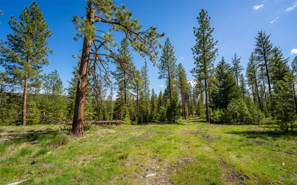 3605 Hubbart Dam Road Marion MT 59925