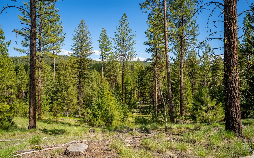 3605 Hubbart Dam Road Marion MT 59925