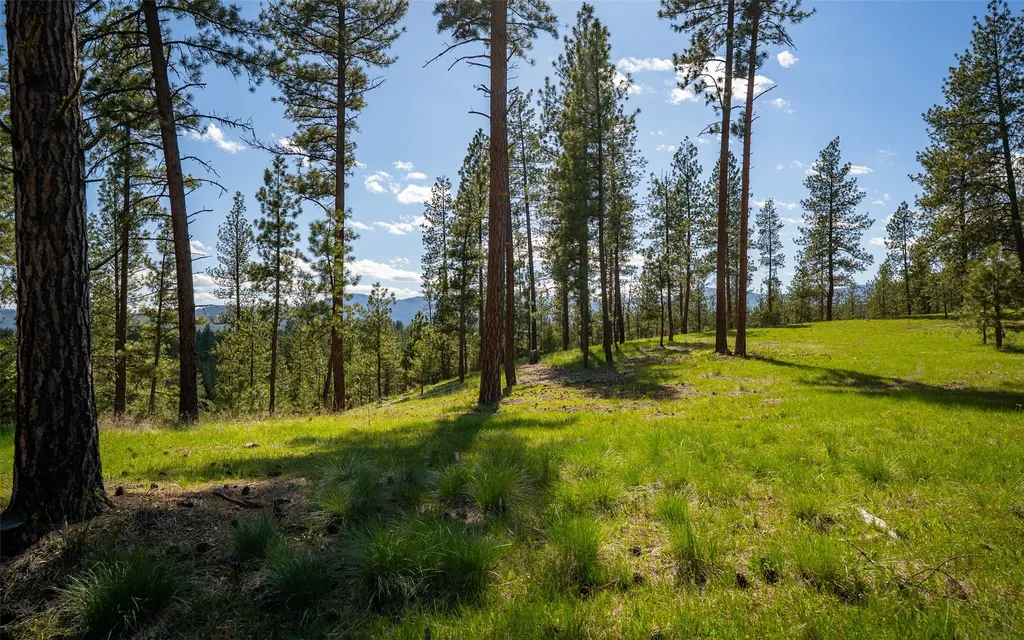 3605 Hubbart Dam Road Marion MT 59925