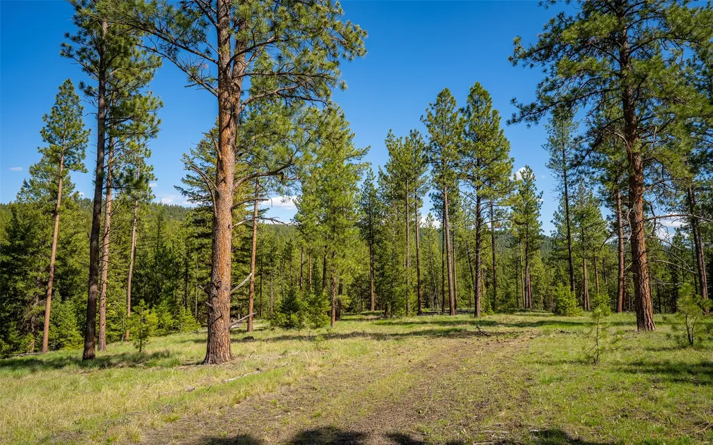 3605 Hubbart Dam Road Marion MT 59925