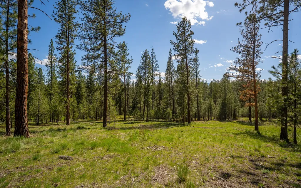 3605 Hubbart Dam Road Marion MT 59925
