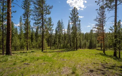3605 Hubbart Dam Road Marion MT 59925