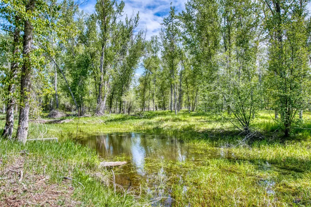 182 Mountain View Drive Victor MT 59875