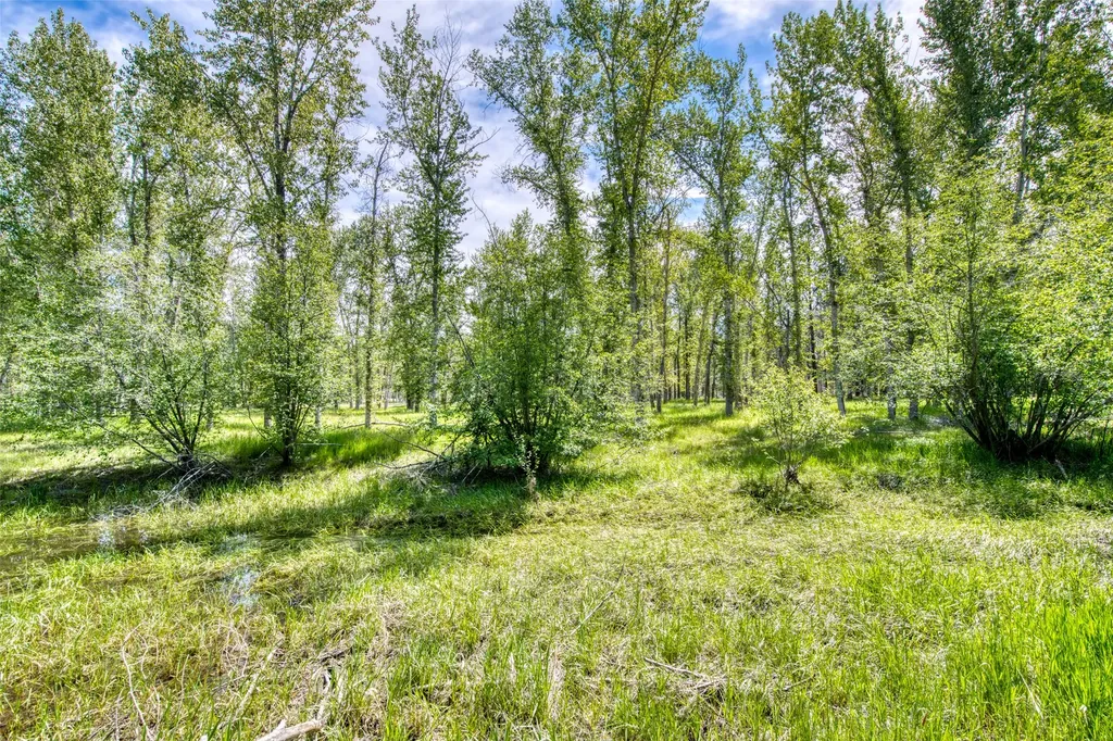 182 Mountain View Drive Victor MT 59875