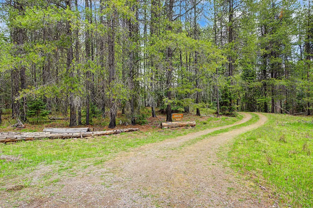 30612 Three Turtle Crossing Bigfork MT 59911