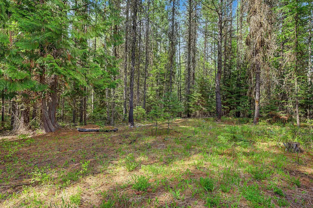 30612 Three Turtle Crossing Bigfork MT 59911