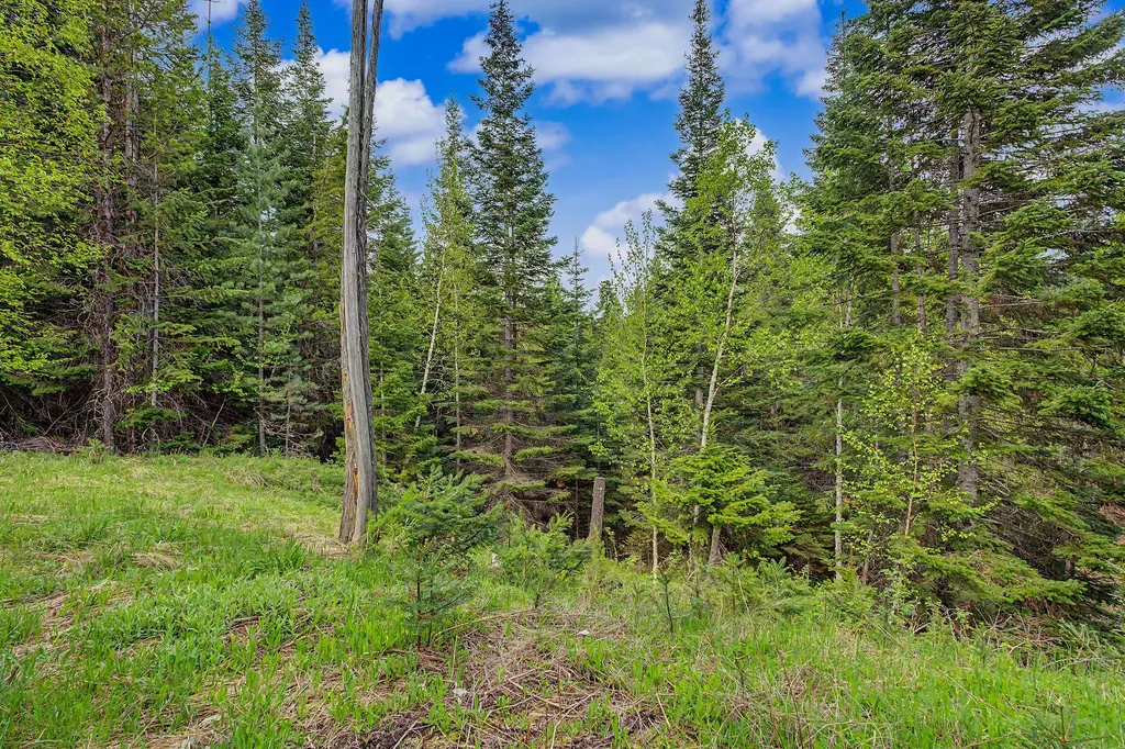 30612 Three Turtle Crossing Bigfork MT 59911