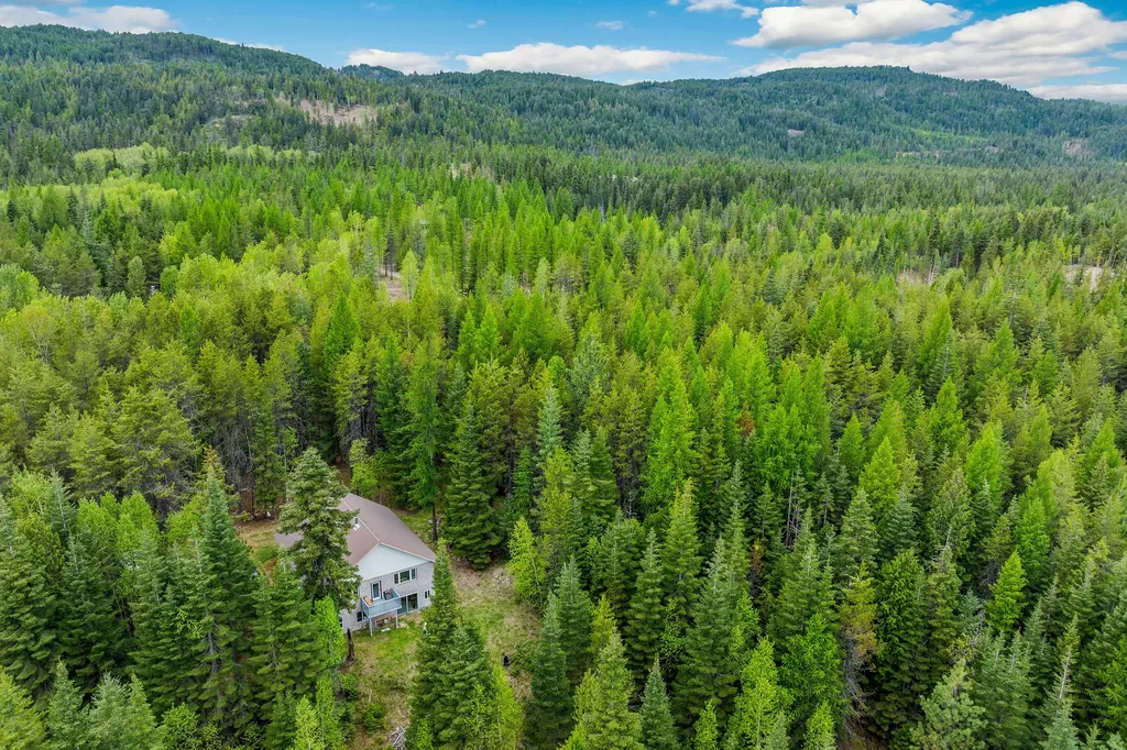 30612 Three Turtle Crossing Bigfork MT 59911