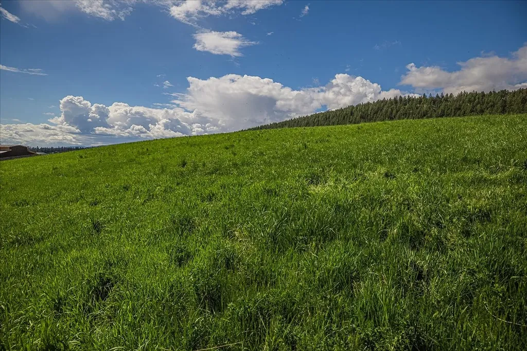 Nhn W. Kootenai Road Rexford MT 59930