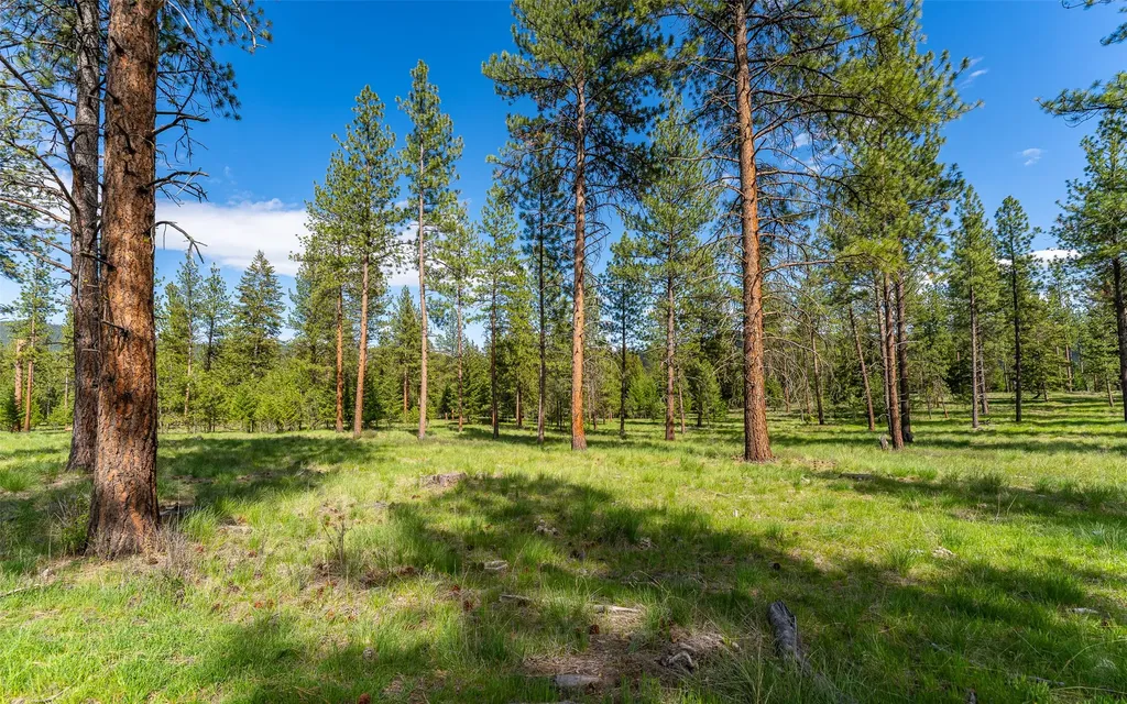 3655 Hubbart Dam Road Marion MT 59925