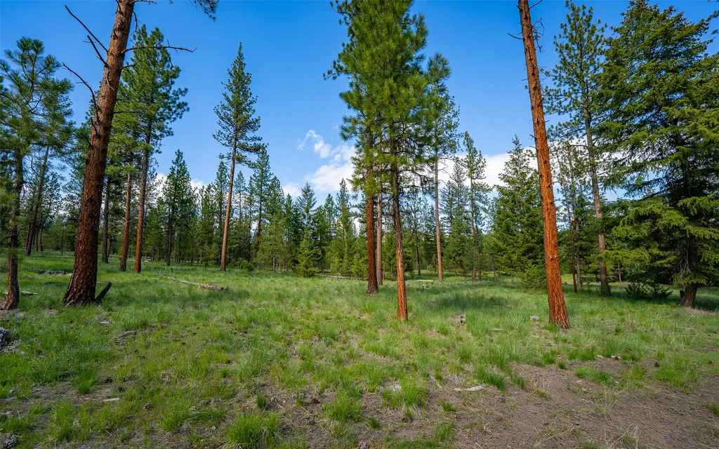 3655 Hubbart Dam Road Marion MT 59925