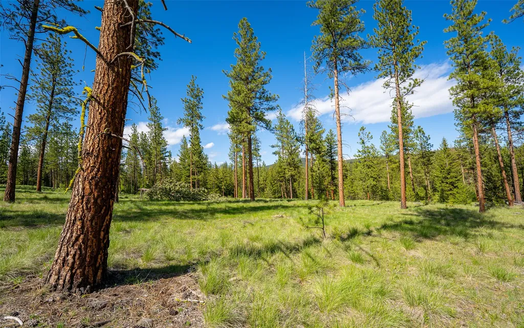3655 Hubbart Dam Road Marion MT 59925