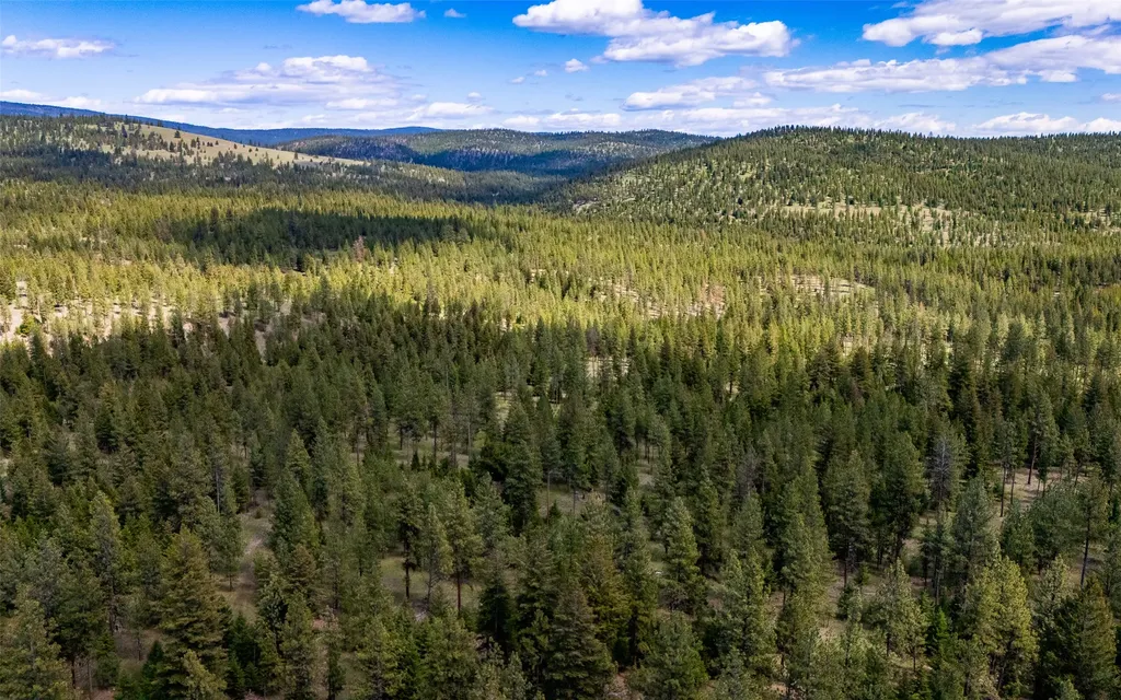 3655 Hubbart Dam Road Marion MT 59925