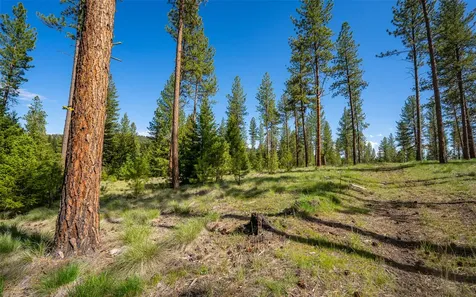 3655 Hubbart Dam Road Marion MT 59925
