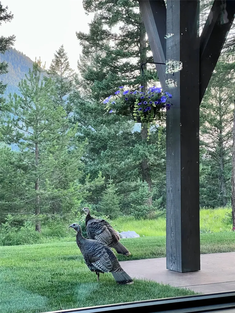 65 Soaring Eagle Way Columbia Falls MT 59912