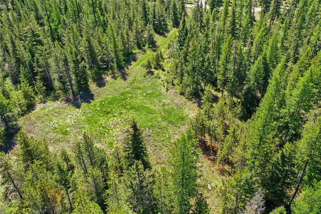65 Soaring Eagle Way Columbia Falls MT 59912