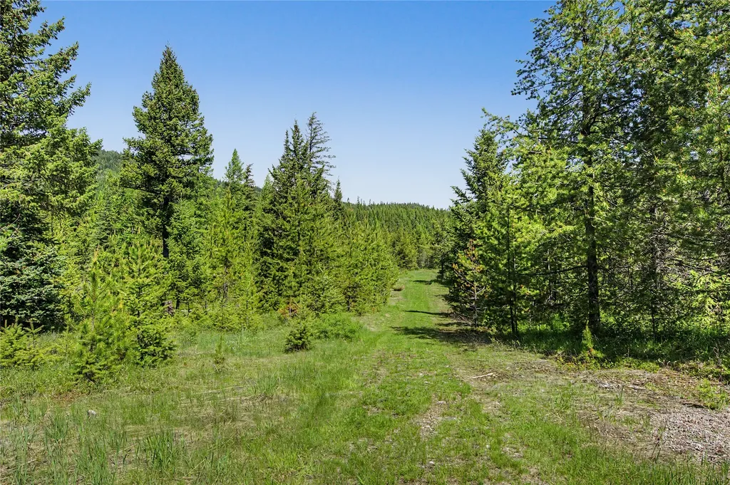 65 Soaring Eagle Way Columbia Falls MT 59912