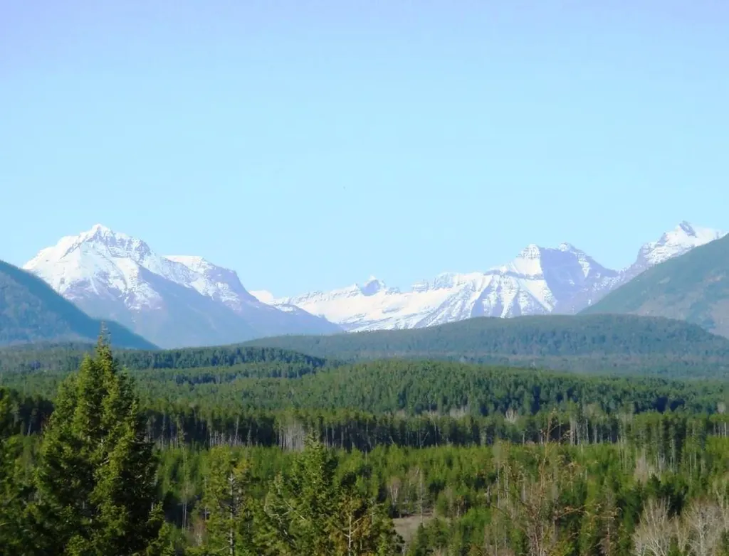 65 Soaring Eagle Way Columbia Falls MT 59912