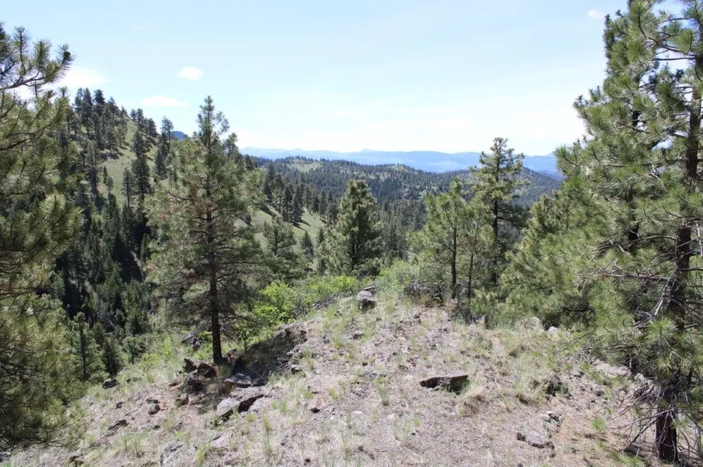 6 Pine Coulee Lane Cascade MT 59421