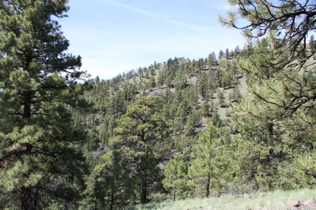 6 Pine Coulee Lane Cascade MT 59421