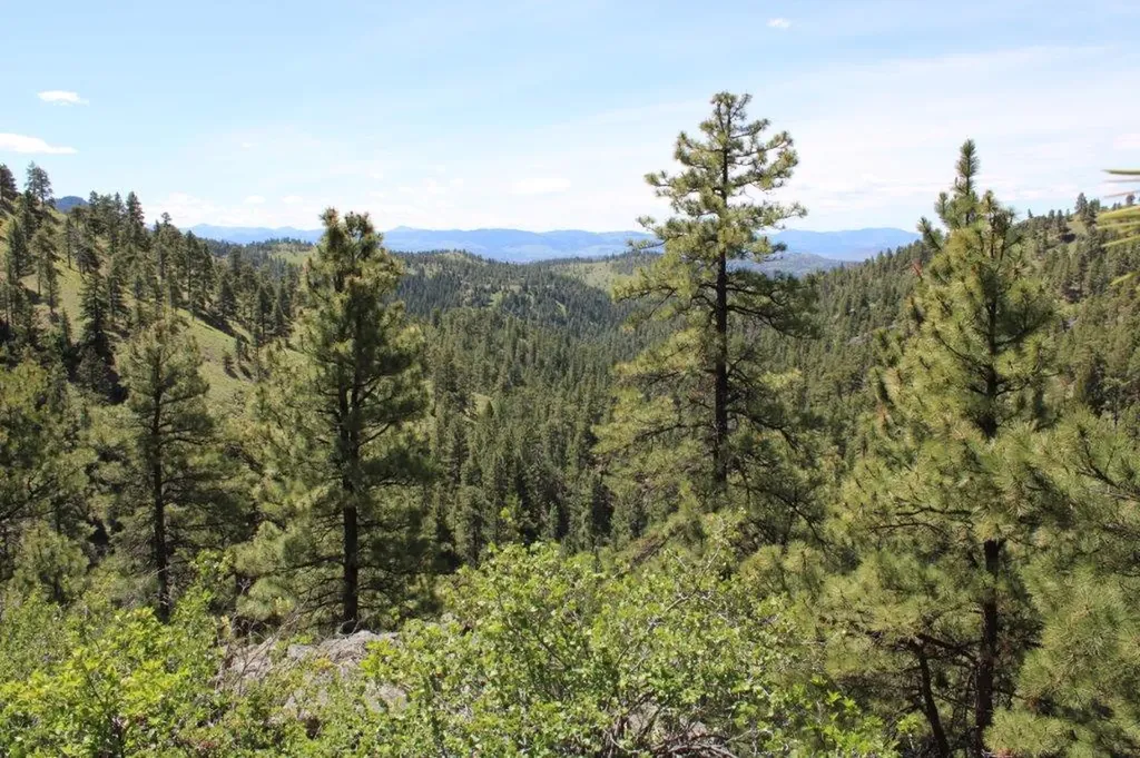 6 Pine Coulee Lane Cascade MT 59421