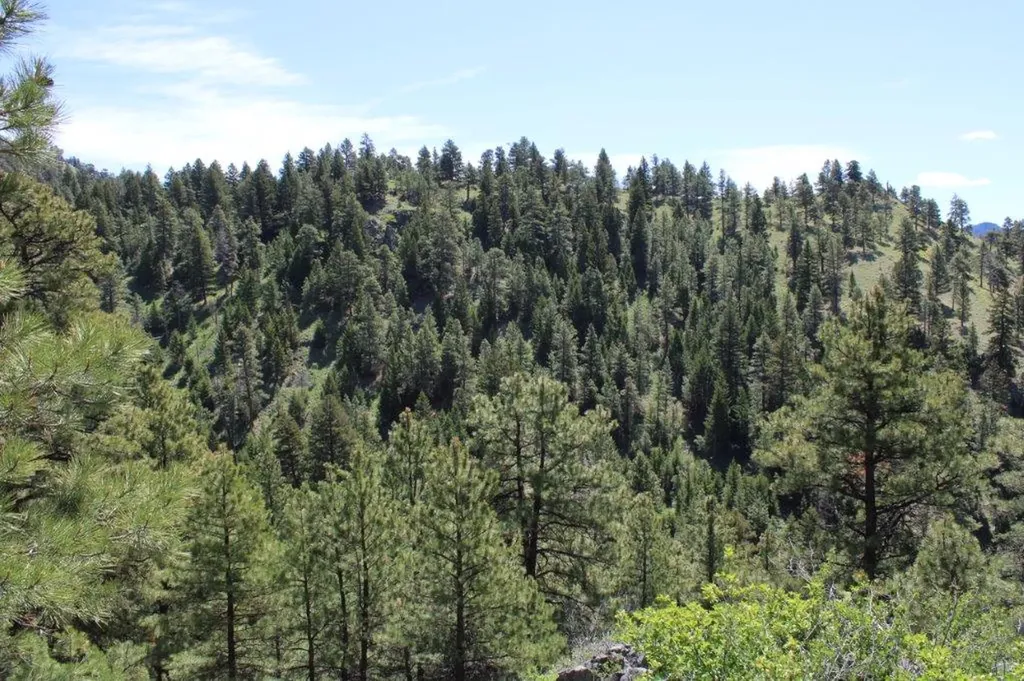 6 Pine Coulee Lane Cascade MT 59421