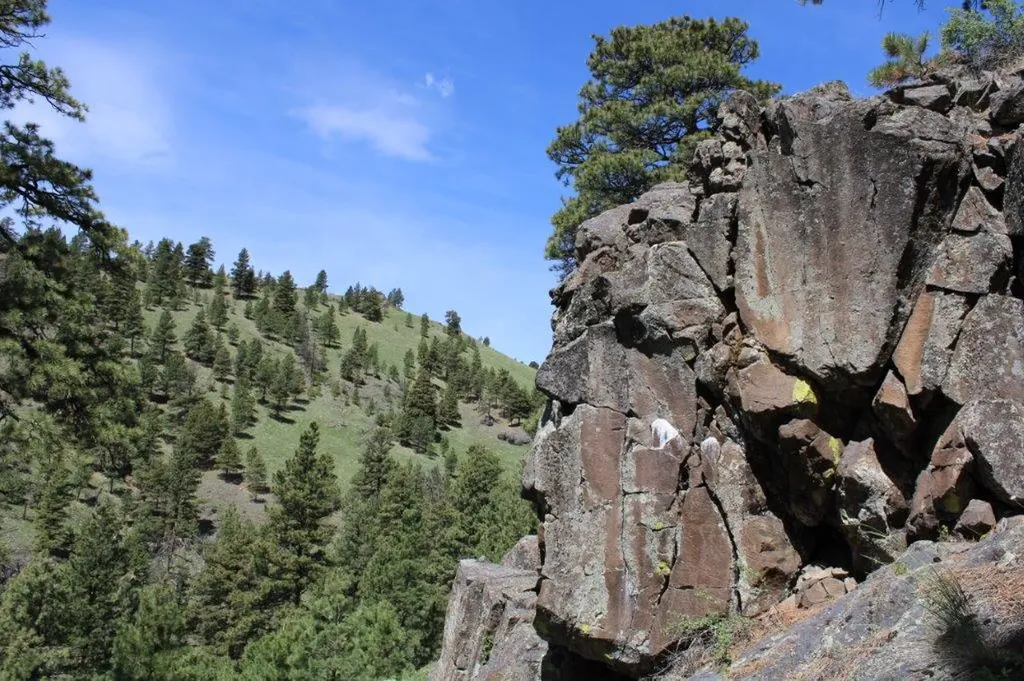 6 Pine Coulee Lane Cascade MT 59421