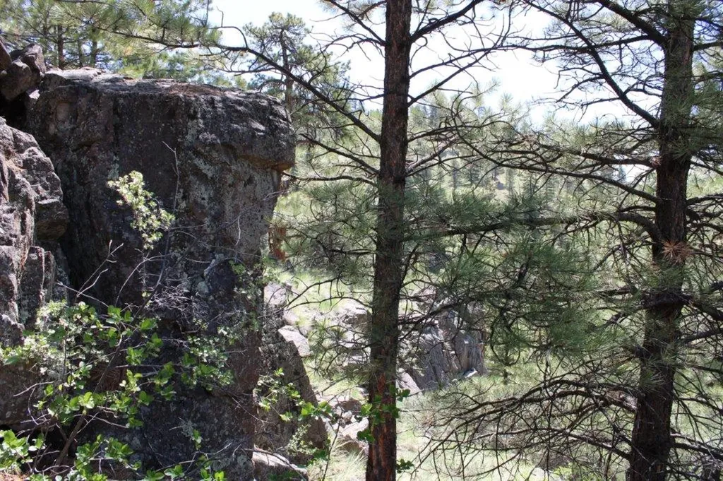 6 Pine Coulee Lane Cascade MT 59421