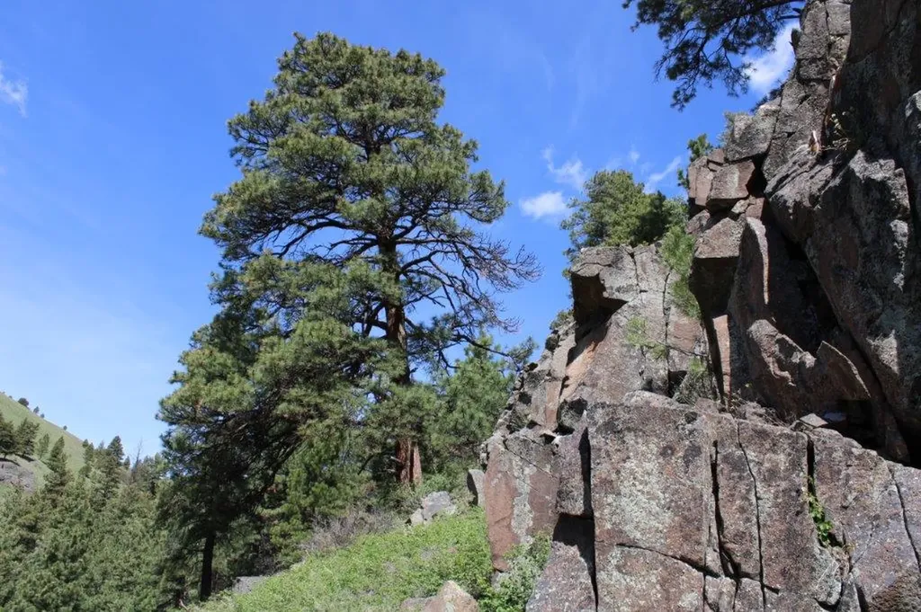 6 Pine Coulee Lane Cascade MT 59421