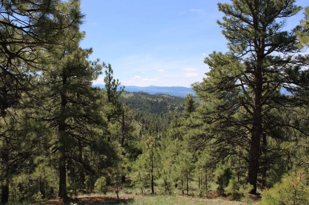 6 Pine Coulee Lane Cascade MT 59421