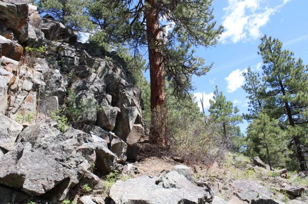 6 Pine Coulee Lane Cascade MT 59421