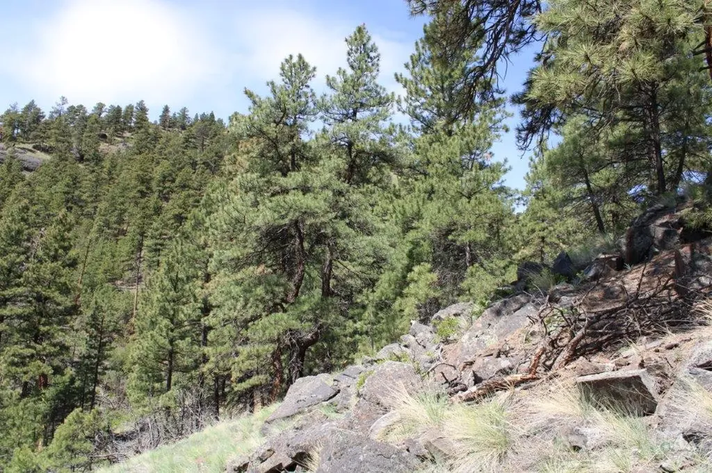 6 Pine Coulee Lane Cascade MT 59421