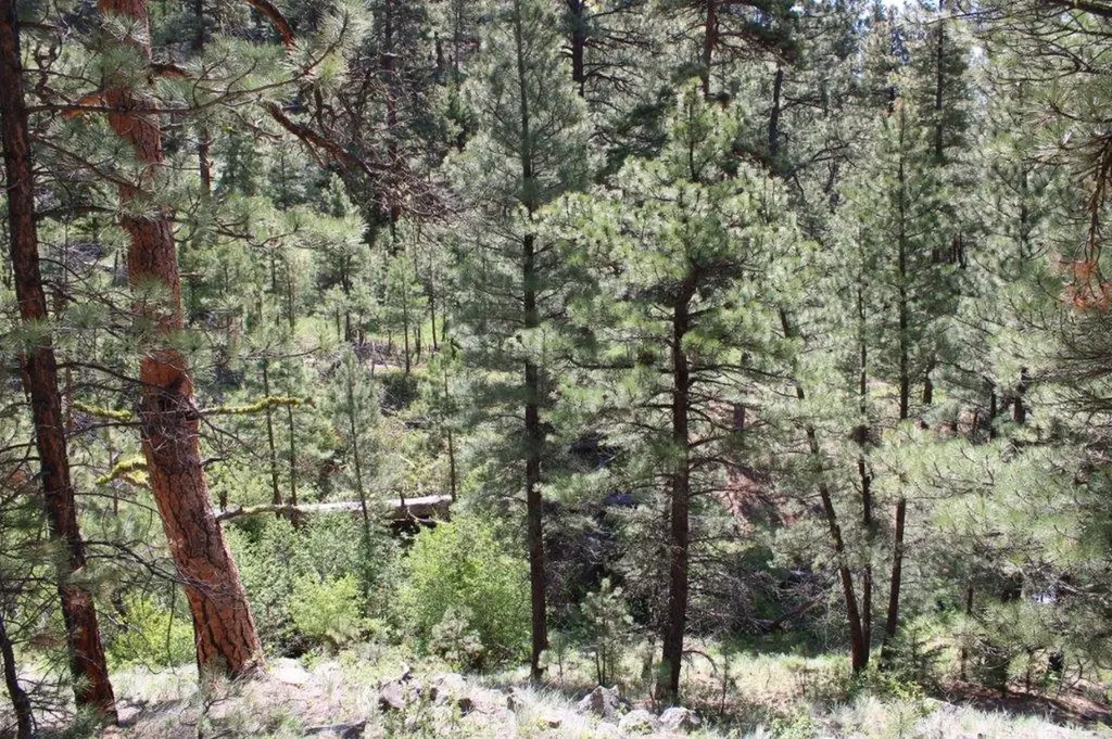 6 Pine Coulee Lane Cascade MT 59421