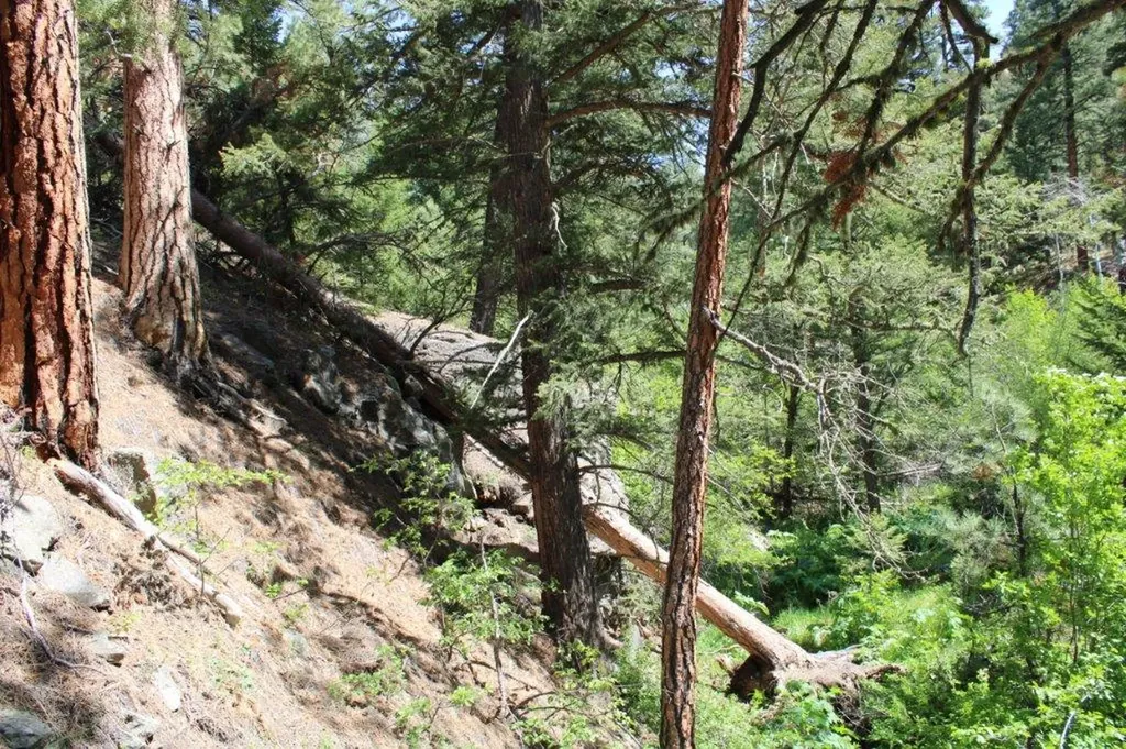 6 Pine Coulee Lane Cascade MT 59421