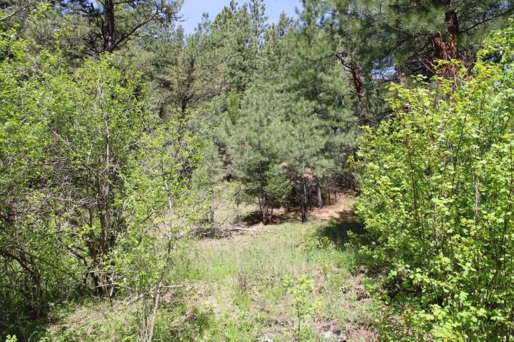 6 Pine Coulee Lane Cascade MT 59421