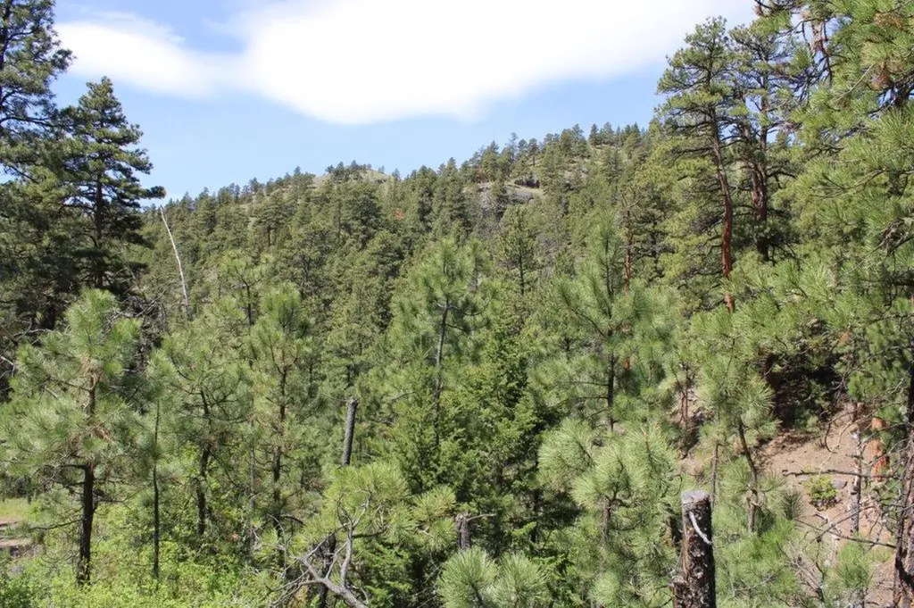 6 Pine Coulee Lane Cascade MT 59421