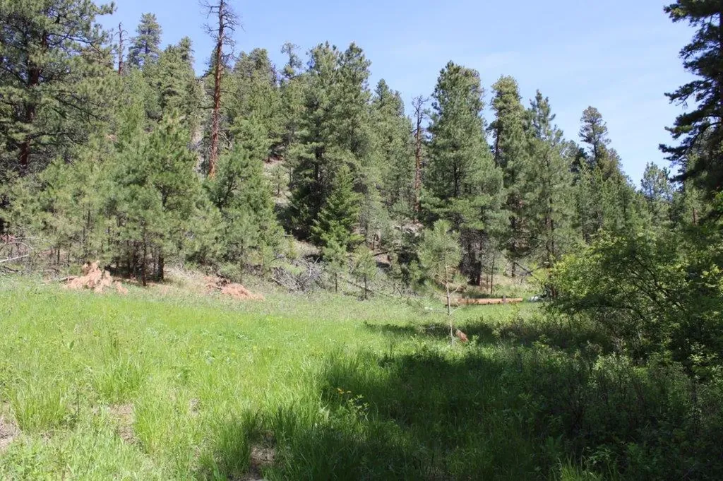 6 Pine Coulee Lane Cascade MT 59421