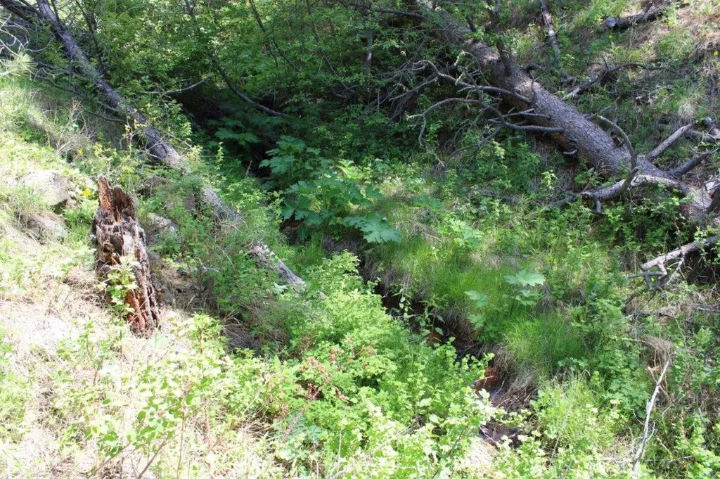 6 Pine Coulee Lane Cascade MT 59421