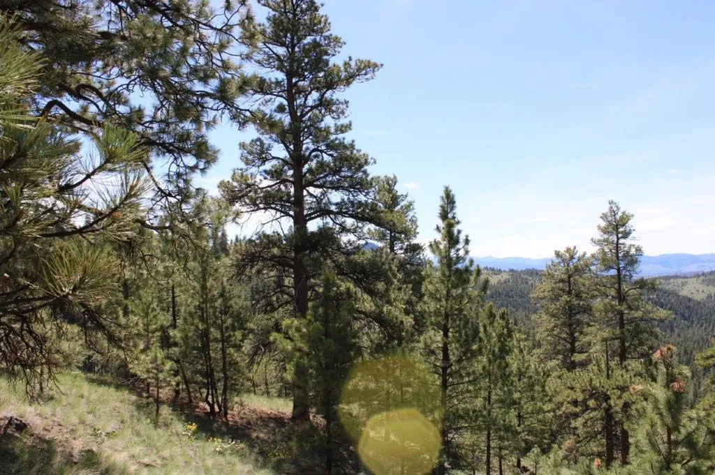 6 Pine Coulee Lane Cascade MT 59421