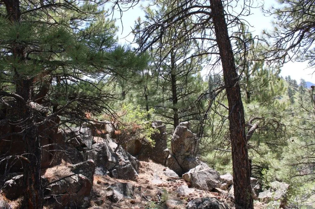 6 Pine Coulee Lane Cascade MT 59421
