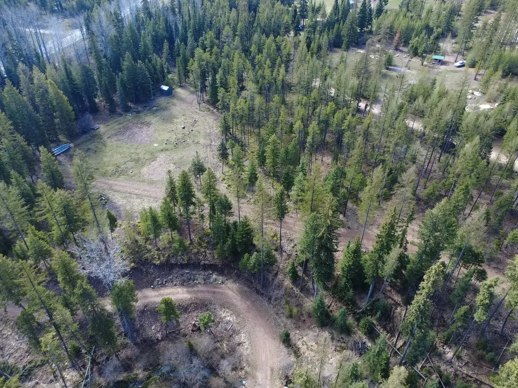 336 Old Barn Road Seeley Lake MT 59868