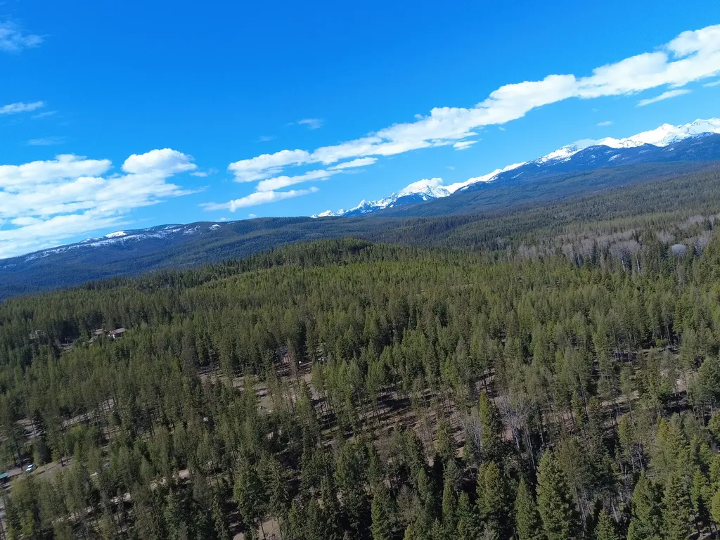 336 Old Barn Road Seeley Lake MT 59868