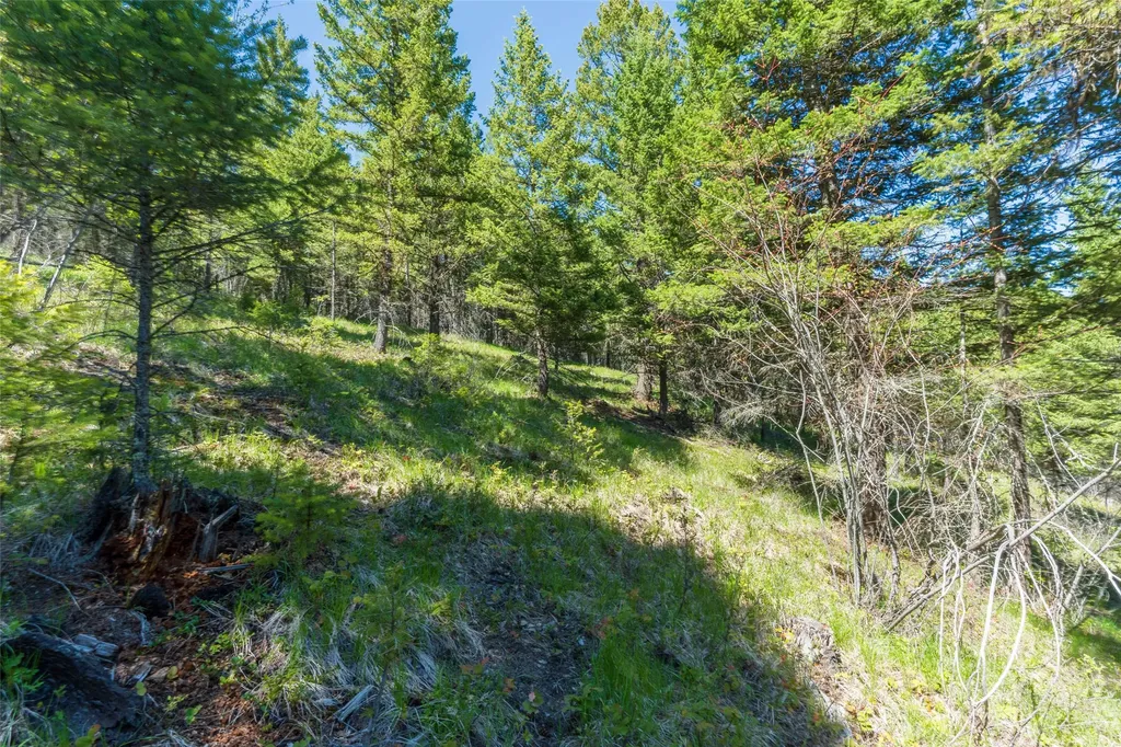 1643 Mcmannamy Draw Kalispell MT 59901