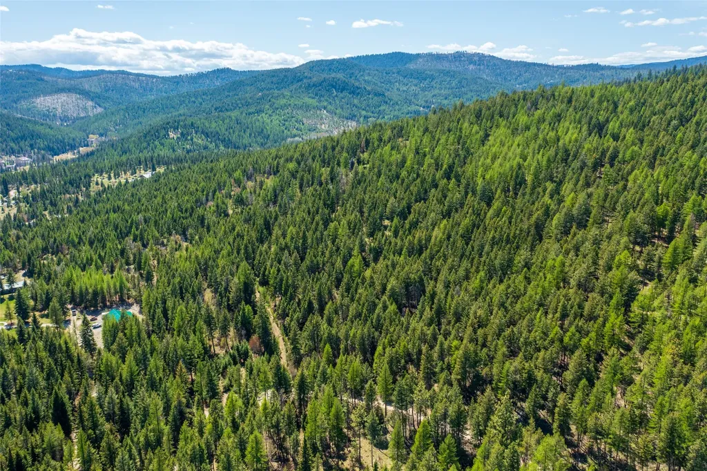 1643 Mcmannamy Draw Kalispell MT 59901