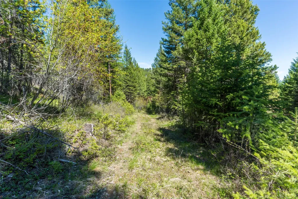 1643 Mcmannamy Draw Kalispell MT 59901